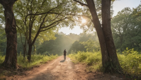 solo,short hair,black hair,1boy,standing,flower,male focus,outdoors,day,pants,bag,from behind,tree,shadow,black pants,sunlight,grass,nature,scenery,forest,walking,light rays,road,bush,sunbeam,wide shot,path,sky,sun,landscape,ambiguous gender