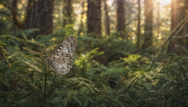 A delightful capture of a butterfly within day
