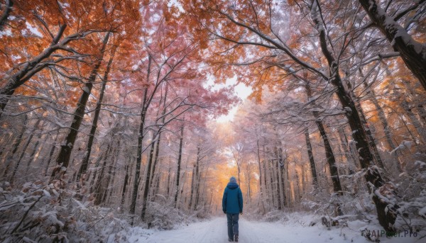 The allure of a male in a inviting snowy day