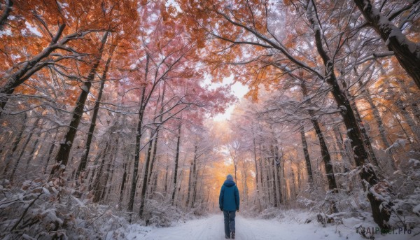 solo, 1boy, standing, male focus, outdoors, day, pants, hood, from behind, tree, nature, scenery, snow, forest, walking, autumn leaves, winter, bare tree, autumn