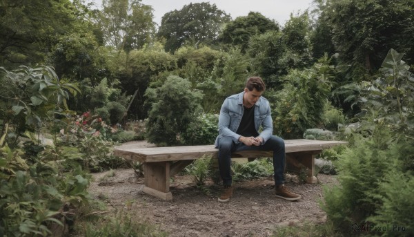 solo,short hair,brown hair,shirt,long sleeves,1boy,sitting,jacket,flower,male focus,outdoors,shoes,day,pants,tree,black shirt,brown footwear,sunglasses,plant,denim,nature,scenery,forest,jeans,bench,bush,denim jacket,black hair,jewelry,closed mouth,closed eyes,open clothes,open jacket,black pants,white jacket,own hands together,grass,grey jacket,blue pants,wide shot,photo background,park,sitting on bench