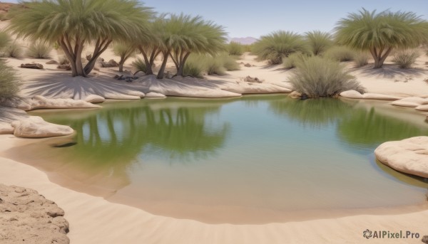 outdoors,sky,day,artist name,water,tree,blue sky,no humans,watermark,beach,grass,nature,scenery,reflection,rock,sand,palm tree,river,lake,plant,realistic,bush,shore,reflective water