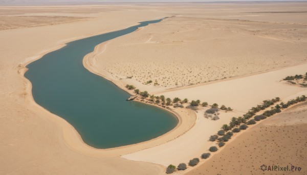 outdoors,day,water,tree,no humans,shadow,ocean,beach,scenery,rock,sand,waves,shore,desert,footprints,from above,nature