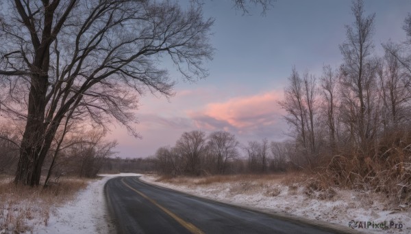 outdoors,sky,day,cloud,tree,blue sky,no humans,cloudy sky,grass,nature,scenery,snow,forest,sunset,road,winter,bare tree,evening,landscape,gradient sky,pine tree,signature,water,river,path