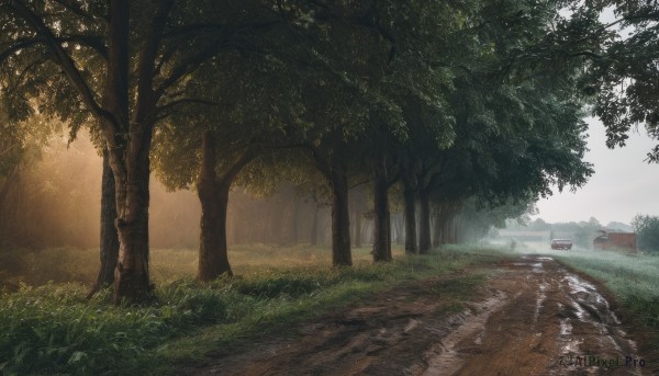 outdoors,sky,day,tree,no humans,sunlight,grass,ground vehicle,building,nature,scenery,motor vehicle,forest,car,road,bush,path,cloud,house,river,landscape,truck