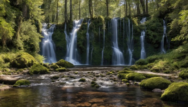 outdoors,day,water,tree,no humans,sunlight,nature,scenery,forest,rock,river,waterfall,moss,stream