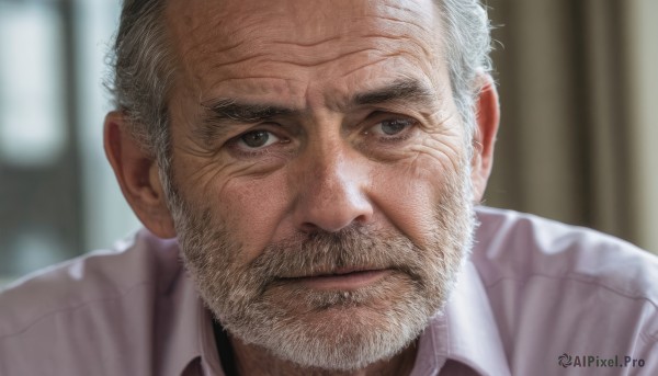 solo,looking at viewer,short hair,shirt,1boy,brown eyes,closed mouth,white shirt,white hair,grey hair,male focus,collared shirt,indoors,blurry,grey eyes,blurry background,facial hair,thick eyebrows,portrait,beard,close-up,mature male,realistic,mustache,manly,old,old man,wrinkled skin,lips,depth of field,scar,scar on face