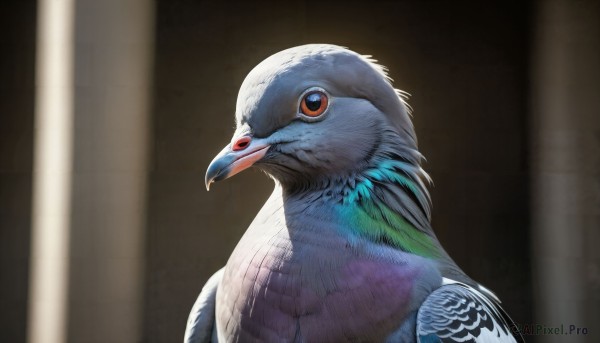 HQ,solo,looking at viewer,red eyes,closed mouth,upper body,blurry,no humans,bird,animal,feathers,portrait,realistic,animal focus,spotlight,beak,from side,depth of field,blurry background,blue feathers,parrot