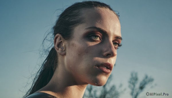 1girl,solo,long hair,black hair,green eyes,outdoors,parted lips,day,blurry,tree,lips,blurry background,looking up,portrait,freckles,realistic,nose,1boy,male focus,sky,teeth,blue sky,looking afar,dirty,dirty face