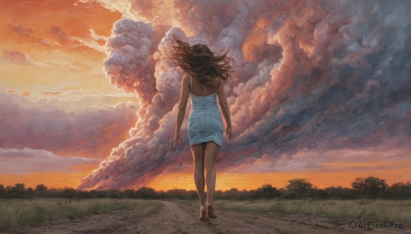 1girl,solo,long hair,brown hair,dress,bare shoulders,standing,outdoors,sky,barefoot,cloud,from behind,white dress,tree,bare arms,bare legs,floating hair,back,cloudy sky,grass,wind,nature,scenery,walking,sunset,arms at sides,facing away,twilight,evening,orange sky,shoes,sleeveless dress,road,field,path