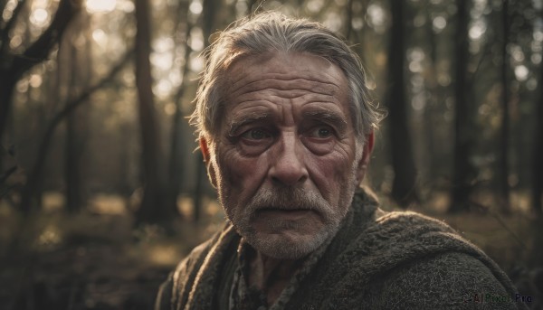 solo,looking at viewer,1boy,closed mouth,upper body,white hair,grey hair,male focus,outdoors,blurry,black eyes,tree,depth of field,blurry background,facial hair,portrait,nature,beard,forest,realistic,mustache,old,old man,wrinkled skin,grey eyes,scar,scar on face