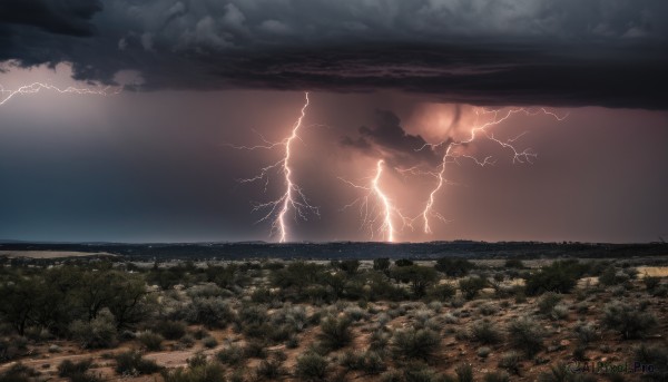 outdoors,sky,cloud,tree,no humans,ocean,cloudy sky,grass,nature,scenery,mountain,horizon,electricity,field,lightning,landscape,water,dark