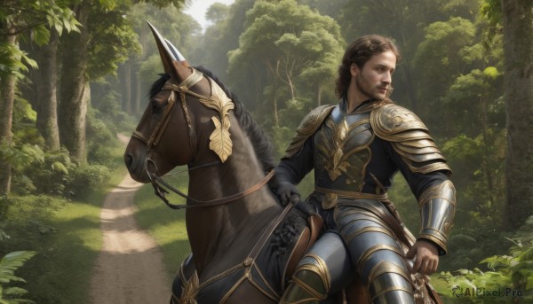 The allure of a male in a majestic day