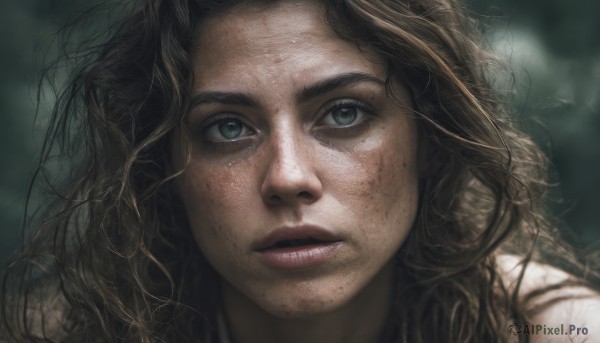 1girl,solo,long hair,looking at viewer,blue eyes,brown hair,parted lips,teeth,blurry,lips,eyelashes,blurry background,wavy hair,messy hair,portrait,close-up,freckles,curly hair,realistic,nose,dirty,black hair,green eyes,sunlight