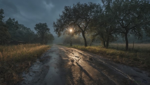 outdoors,sky,cloud,tree,no humans,night,cloudy sky,grass,ground vehicle,nature,scenery,forest,reflection,road,power lines,lamppost,bicycle,utility pole,path,day,sunlight,light,landscape,railroad tracks