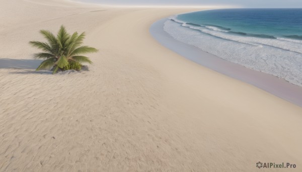 outdoors,sky,day,water,tree,blue sky,no humans,shadow,ocean,beach,scenery,sand,palm tree,horizon,shore,cloud,realistic,watercraft,waves,island