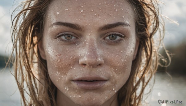 1girl,solo,long hair,looking at viewer,brown hair,brown eyes,closed mouth,outdoors,water,blurry,lips,wet,depth of field,blurry background,thick eyebrows,portrait,close-up,freckles,realistic,nose,wet hair,straight-on,sky,day,eyelashes,messy hair,water drop