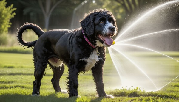 HQ,solo,open mouth,brown eyes,full body,outdoors,wings,day,tongue,tongue out,blurry,collar,tree,no humans,depth of field,blurry background,animal,sunlight,grass,bug,nature,dog,realistic,animal focus,standing,plant,light rays,animal collar