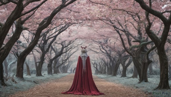 solo,1boy,standing,outdoors,day,cape,tree,petals,no humans,grass,cherry blossoms,nature,scenery,cloak,forest,red cape,path,red cloak,1girl,long hair,looking at viewer,white hair,horns,wide shot