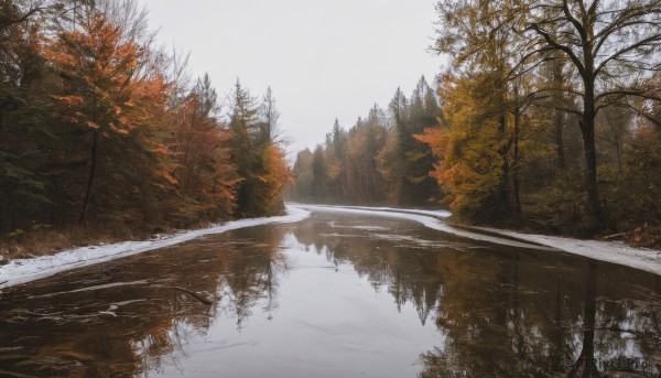 outdoors,sky,day,water,tree,no humans,leaf,nature,scenery,snow,forest,reflection,road,autumn leaves,winter,bare tree,river,autumn,landscape,lake,pine tree,cloud,mountain,puddle