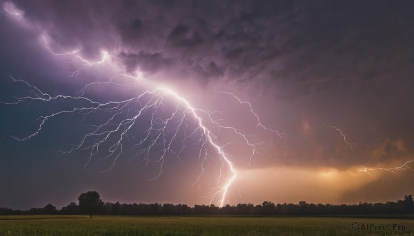 outdoors,sky,cloud,tree,no humans,cloudy sky,grass,nature,scenery,forest,sunset,silhouette,electricity,lightning,landscape,field