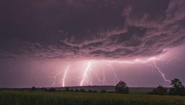 outdoors,sky,cloud,tree,no humans,cloudy sky,grass,nature,scenery,electricity,lightning,purple sky,monochrome,ocean,sunset,horizon,field,landscape