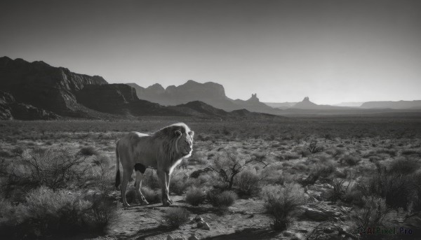 1girl,solo,short hair,1boy,standing,monochrome,greyscale,outdoors,sky,animal,grass,scenery,mountain,field,wide shot,no humans,nature,landscape,elephant