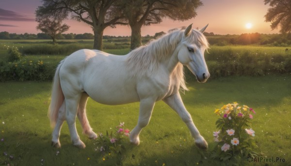 solo,standing,full body,flower,outdoors,sky,tree,no humans,animal,grass,white flower,nature,scenery,sunset,realistic,yellow flower,field,animal focus,horse,unicorn,cloud,signature,sunlight,lens flare,sun