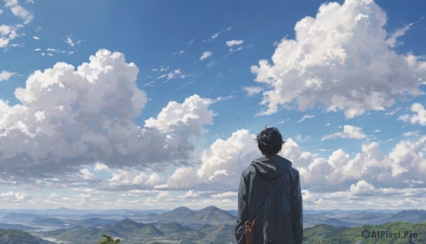 A male in the heart of a majestic day