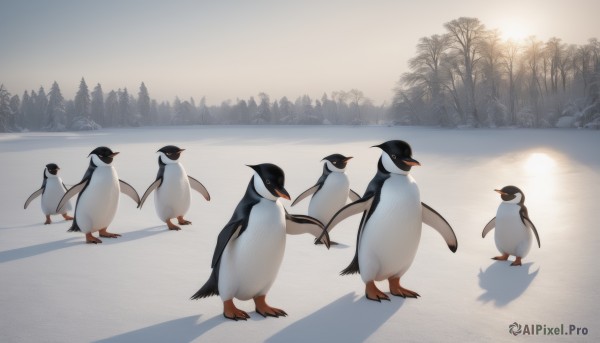 standing,outdoors,day,tree,no humans,shadow,bird,animal,nature,scenery,snow,forest,animal focus,penguin,flock,simple background,sky,artist name,water,from side,reflection,walking,bare tree