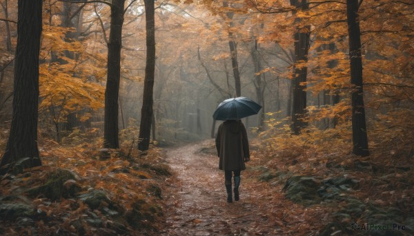 1girl, solo, holding, standing, outdoors, from behind, tree, leaf, umbrella, nature, scenery, forest, holding umbrella, road, autumn leaves, autumn