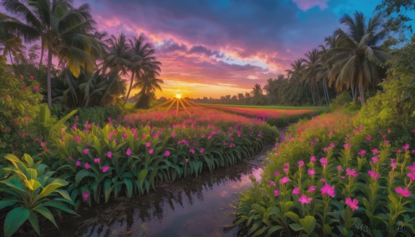 A unique subject showcased in a bold sunset outdoors
