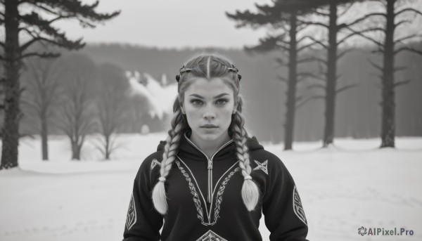 1girl,solo,long hair,looking at viewer,closed mouth,monochrome,upper body,braid,greyscale,multicolored hair,outdoors,hood,blurry,twin braids,tree,lips,blurry background,nature,snow,freckles,realistic,winter,multiple braids,pine tree,bangs,long sleeves,twintails,jacket,alternate costume,crown,bare tree