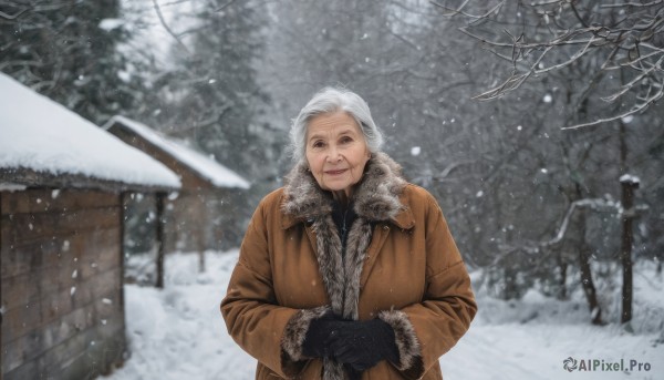 1girl,solo,looking at viewer,smile,gloves,long sleeves,1boy,upper body,white hair,grey hair,male focus,outdoors,black gloves,blurry,tree,coat,fur trim,facial hair,own hands together,snow,snowing,realistic,winter clothes,house,old,winter,brown coat,old man,bare tree,old woman,blue eyes,solo focus,lips,scar,winter coat