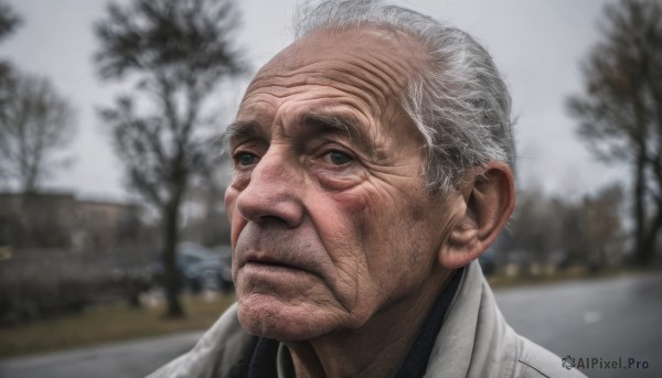 solo,looking at viewer,shirt,1boy,closed mouth,white hair,grey hair,male focus,outdoors,day,collared shirt,blurry,tree,blurry background,facial hair,portrait,realistic,old,old man,photo background,wrinkled skin,short hair,blue eyes,grey eyes,expressionless