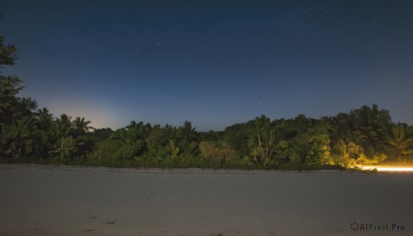 outdoors,sky,tree,no humans,night,grass,plant,star (sky),nature,night sky,scenery,forest,starry sky,sunset,road,bush,ground vehicle,sand,campfire