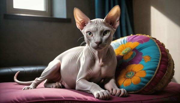 HQ,solo,looking at viewer,closed mouth,green eyes,full body,flower,lying,indoors,pillow,no humans,window,bed,animal,on bed,floral print,sunlight,cat,curtains,couch,realistic,animal focus,whiskers,day,signature,watermark,on stomach,web address,cushion