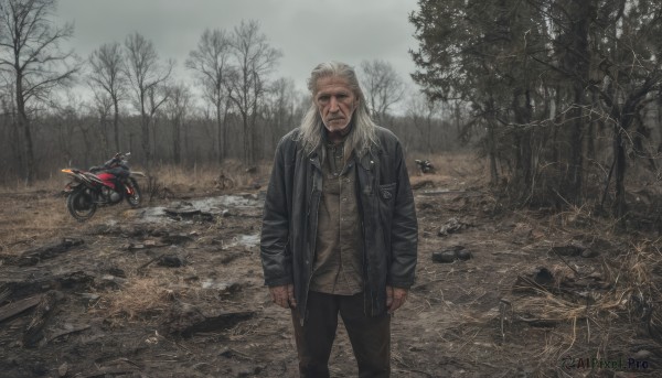 solo,long hair,looking at viewer,shirt,long sleeves,1boy,jewelry,closed mouth,standing,jacket,white hair,male focus,outdoors,open clothes,pants,necklace,open jacket,tree,black jacket,facial hair,black pants,ground vehicle,nature,grey shirt,motor vehicle,beard,forest,realistic,car,leather,old,motorcycle,old man,bare tree,leather jacket,grey hair,sky,scar,cloudy sky,scar on face,brown jacket,road,brown shirt,grey sky