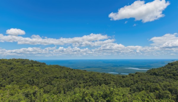 outdoors,sky,day,cloud,water,tree,blue sky,no humans,ocean,cloudy sky,grass,nature,scenery,forest,horizon,field,summer,landscape,beach,island