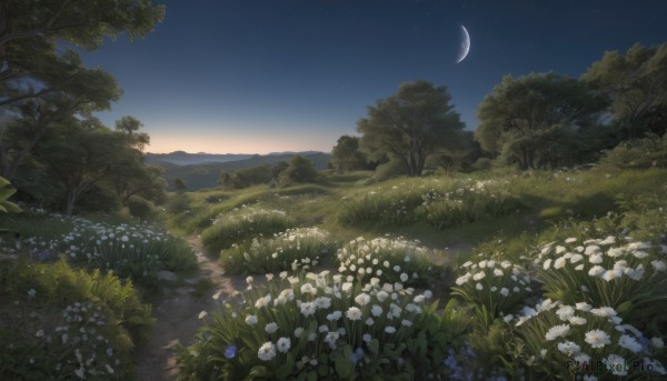 A graceful landscape captured in sunset outdoors