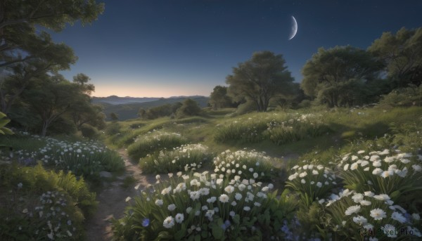 flower,outdoors,sky,cloud,tree,no humans,night,moon,grass,plant,white flower,star (sky),nature,night sky,scenery,forest,starry sky,mountain,field,crescent moon,landscape,blue flower,sunset,horizon,bush,gradient sky