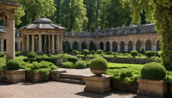 A garden in a dynamic day