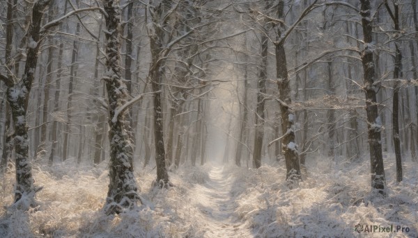 A striking snowy outdoors featuring the elegance of a male