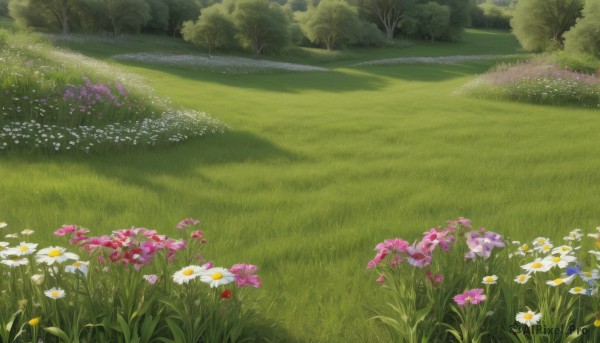 A glimpse of a landscape in a lush day