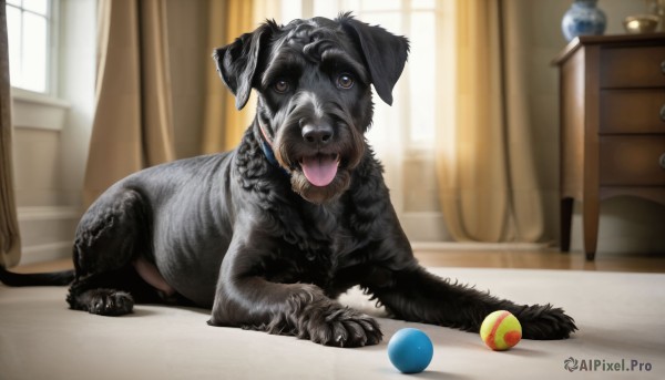 A captivating dog within day