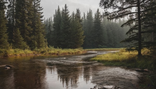 outdoors,sky,day,cloud,water,tree,no humans,sunlight,cloudy sky,grass,nature,scenery,forest,reflection,road,bush,river,landscape,grey sky,lake,pine tree