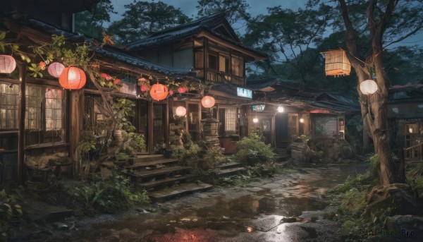 Outdoors brought to life with a captivating unique subject
