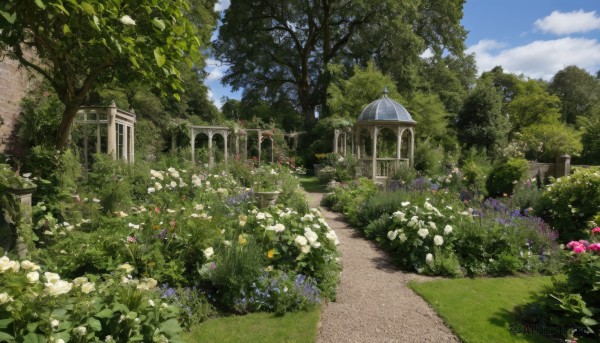 The charm of a garden in a bold day