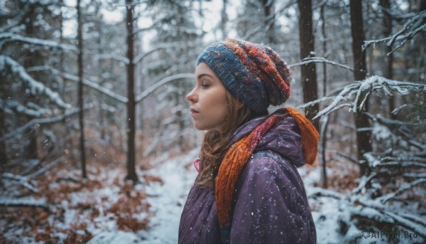 1girl, solo, blue eyes, brown hair, hat, jewelry, upper body, outdoors, hood, necklace, scarf, blurry, from side, tree, lips, profile, snow, snowing, realistic, nose, beanie, winter