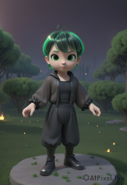 1girl,solo,looking at viewer,short hair,shirt,long sleeves,jewelry,closed mouth,green eyes,standing,full body,outdoors,green hair,sky,shoes,puffy sleeves,pants,hood,black footwear,tree,see-through,night,glowing,black pants,suspenders,grass,bug,fire,butterfly,child,nature,androgynous,antennae,male child,baggy pants,fireflies,puffy pants,wriggle nightbug,jacket,alternate costume,artist name,black shirt,hoodie,expressionless,rock,drawstring,black hoodie